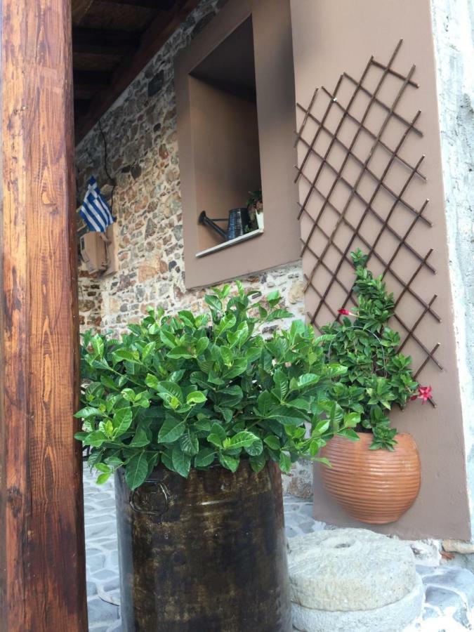 Areti'S Traditional House Apollona Exterior foto